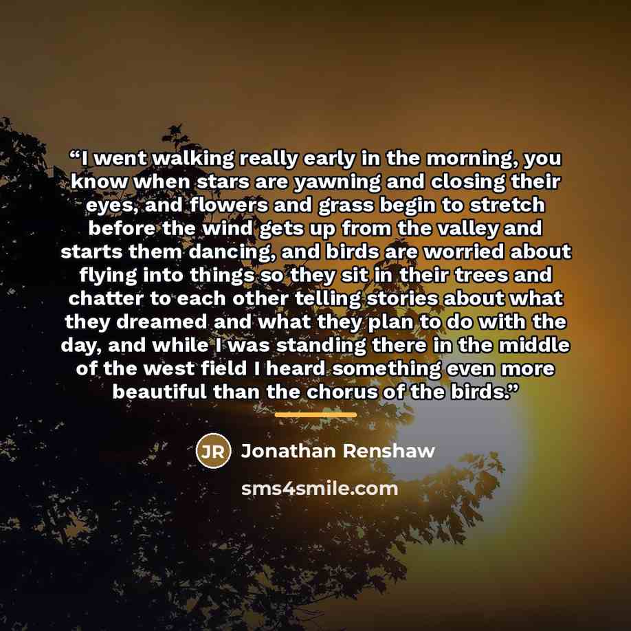 “I went walking really early in the morning, you know when stars are yawning and closing their eyes, and flowers and grass begin to stretch before the wind gets up from the valley and starts them dancing, and birds are worried about flying into things so they sit in their trees and chatter to each…” quote by Jonathan Renshaw