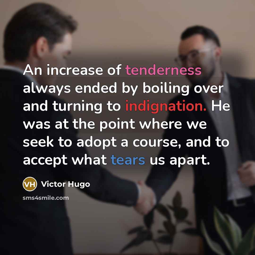 “An increase of tenderness always ended by boiling over and turning to indignation. He was at the point where we seek to adopt a course, and to accept what tears us apart.” quote by Victor Hugo