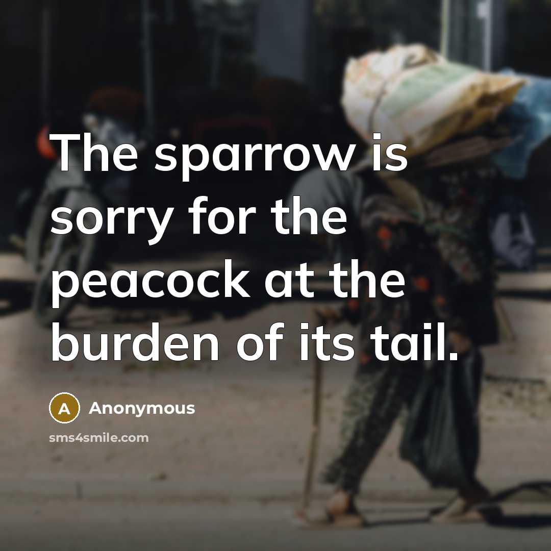 “The sparrow is sorry for the peacock at the burden of its tail.” quote by Anonymous