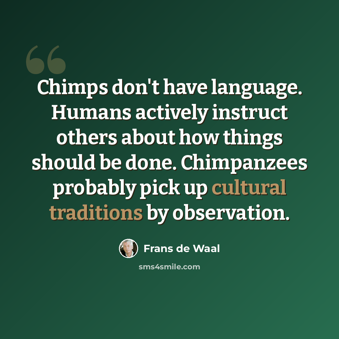 “Chimps don't have language. Humans actively instruct others about how things should be done. Chimpanzees probably pick up cultural traditions by observation.” quote by Frans de Waal