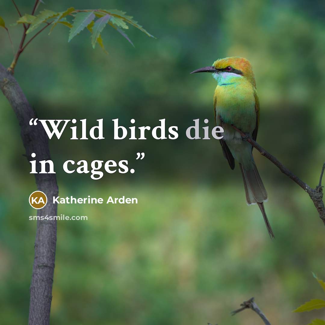 “Wild birds die in cages.” quote by Katherine Arden