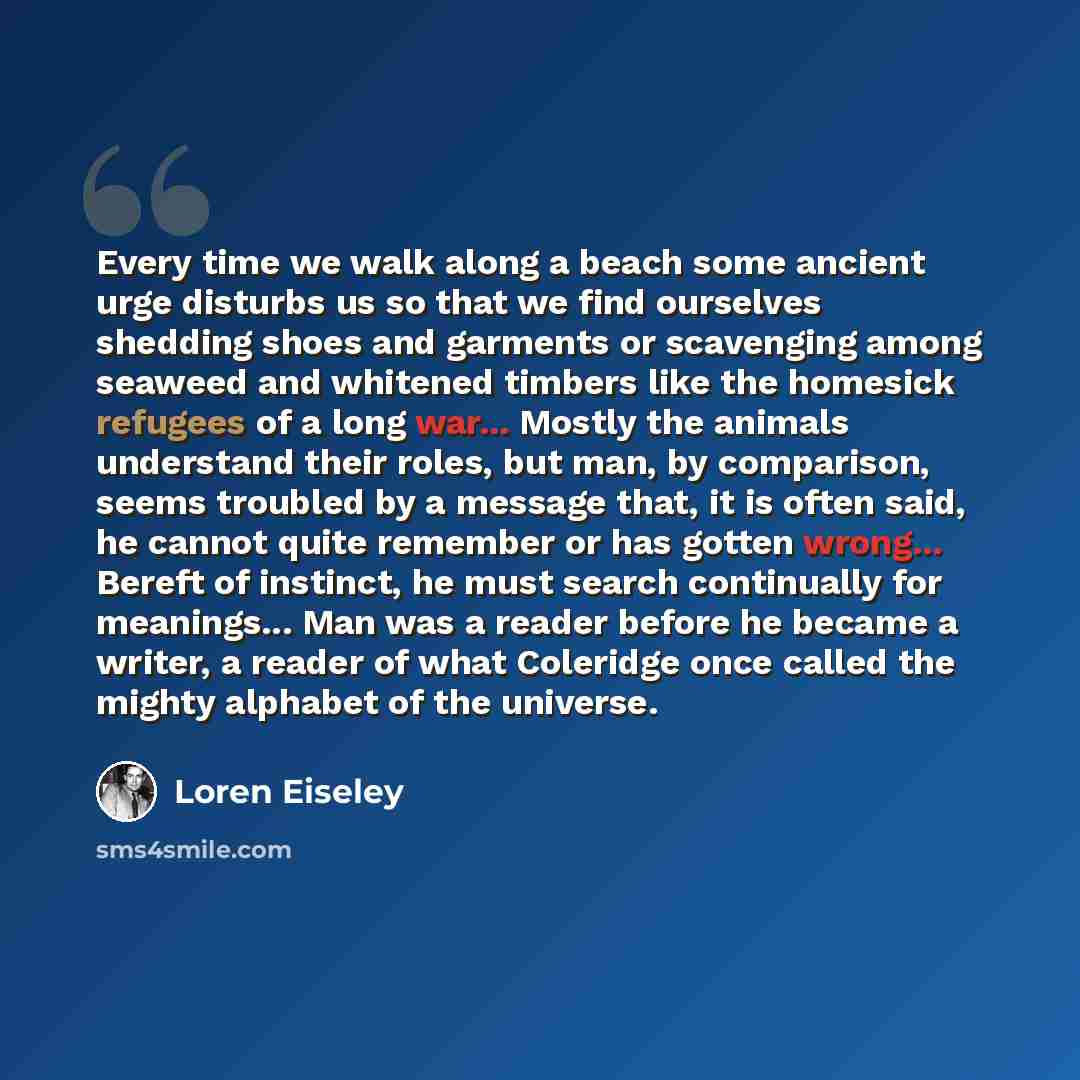 “Every time we walk along a beach some ancient urge disturbs us so that we find ourselves shedding shoes and garments or scavenging among seaweed and whitened timbers like the homesick refugees of a long war... Mostly the animals understand their roles, but man, by comparison, seems troubled by a…” quote by Loren Eiseley