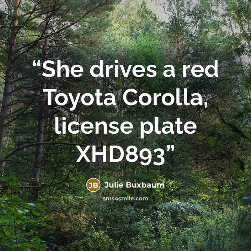 “She drives a red Toyota Corolla, license plate XHD893” quote by Julie Buxbaum