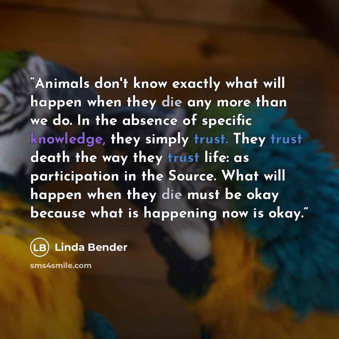 “Animals don't know exactly what will happen when they die any more than we do. In the absence of specific knowledge, they simply trust. They trust death the way they trust life: as participation in the Source. What will happen when they die must be okay because what is happening now is okay.” quote by Linda Bender