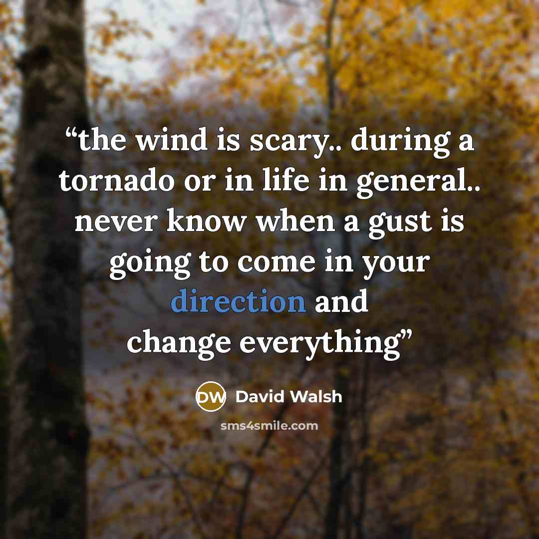 “the wind is scary.. during a tornado or in life in general.. never know when a gust is going to come in your direction and change everything” quote by David Walsh