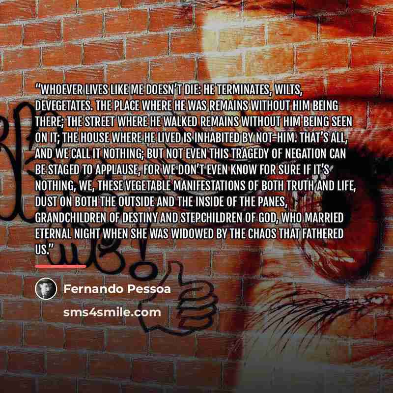 “Whoever lives like me doesn’t die: he terminates, wilts, devegetates. The place where he was remains without him being there; the street where he walked remains without him being seen on it; the house where he lived is inhabited by not-him. That’s all, and we call it nothing; but not even this…” quote by Fernando Pessoa