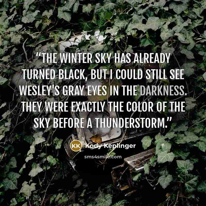 “The winter sky has already turned black, but I could still see Wesley's gray eyes in the darkness. They were exactly the color of the sky before a thunderstorm.” quote by Kody Keplinger