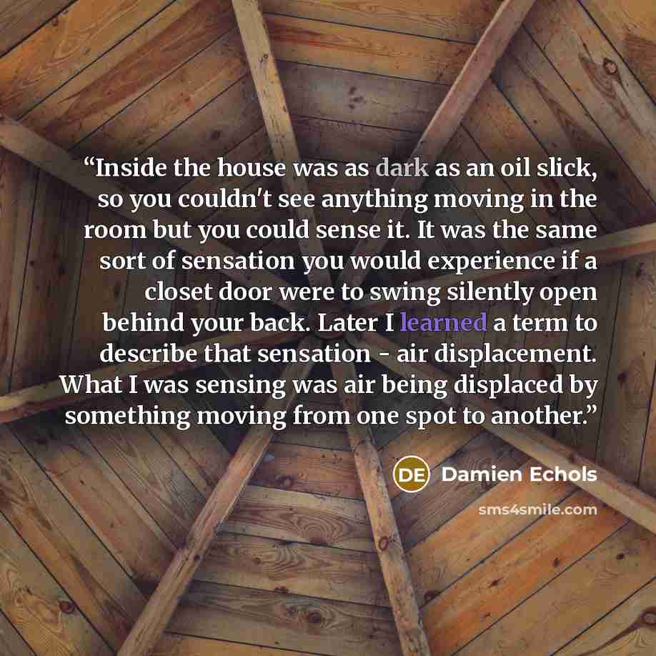 “Inside the house was as dark as an oil slick, so you couldn't see anything moving in the room but you could sense it. It was the same sort of sensation you would experience if a closet door were to swing silently open behind your back. Later I learned a term to describe that sensation - air…” quote by Damien Echols