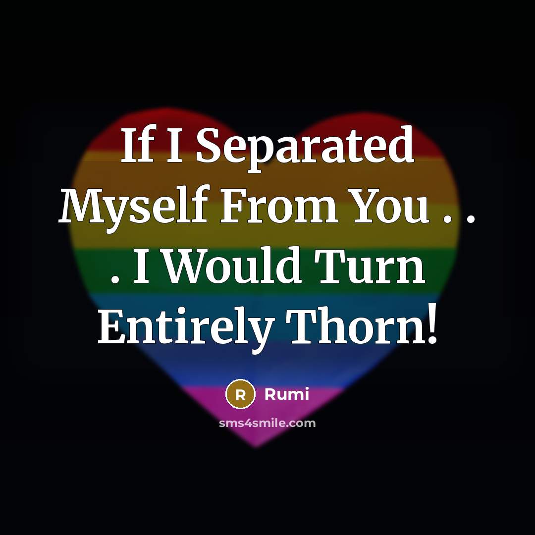 “If I Separated Myself From You . . . I Would Turn Entirely Thorn!” quote by Rumi
