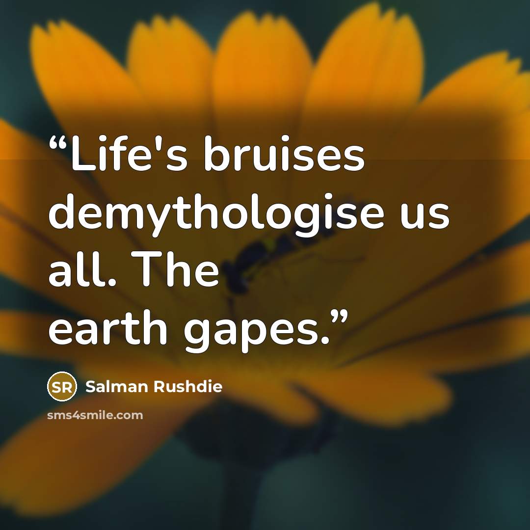 “Life's bruises demythologise us all. The earth gapes.” quote by Salman Rushdie