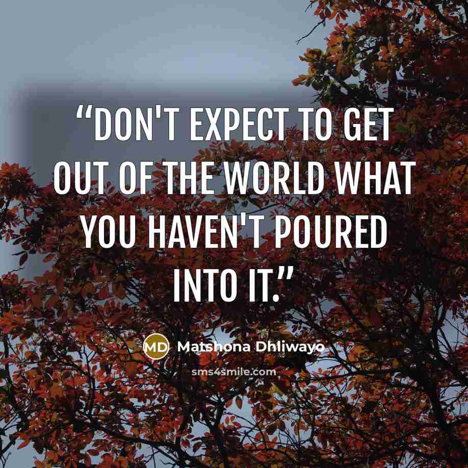 “Don't expect to get out of the world what you haven't poured into it.” quote by Matshona Dhliwayo