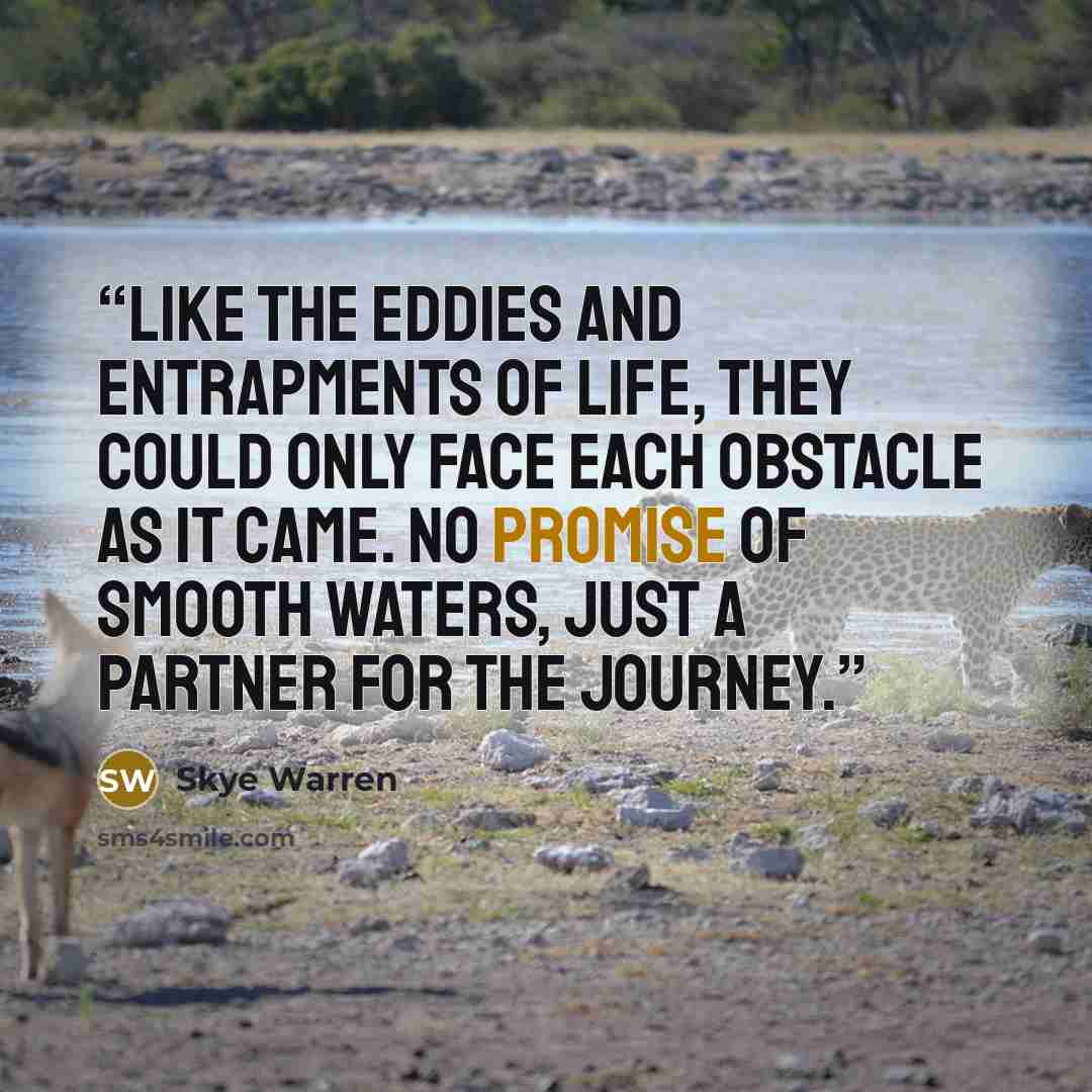 “Like the eddies and entrapments of life, they could only face each obstacle as it came. No promise of smooth waters, just a partner for the journey.” quote by Skye Warren