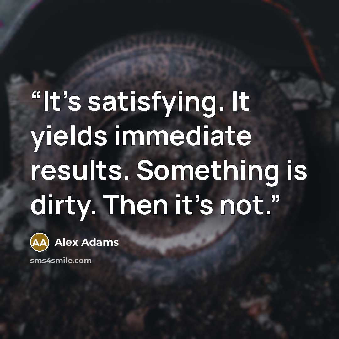 “It's satisfying. It yields immediate results. Something is dirty. Then it's not.” quote by Alex Adams