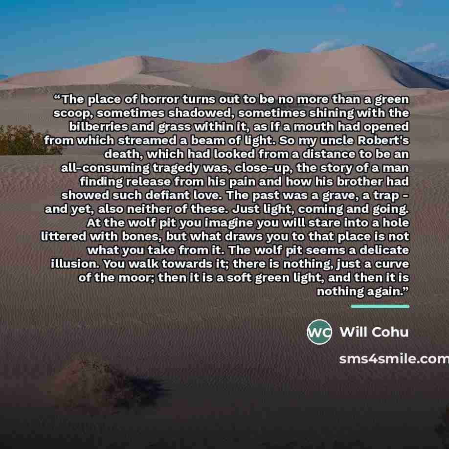 “The place of horror turns out to be no more than a green scoop, sometimes shadowed, sometimes shining with the bilberries and grass within it, as if a mouth had opened from which streamed a beam of light. So my uncle Robert's death, which had looked from a distance to be an all-consuming tragedy…” quote by Will Cohu