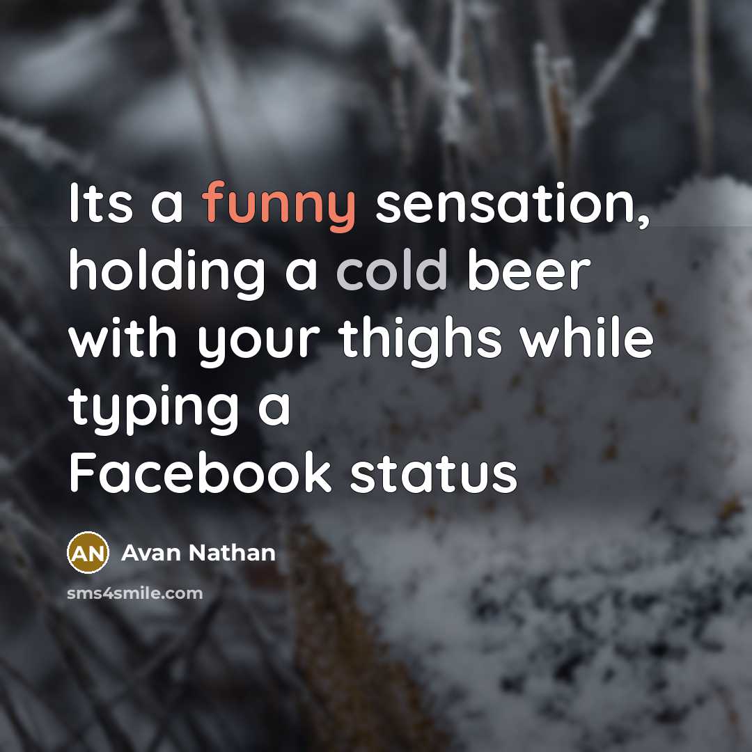 “Its a funny sensation, holding a cold beer with your thighs while typing a Facebook status” quote by Avan Nathan