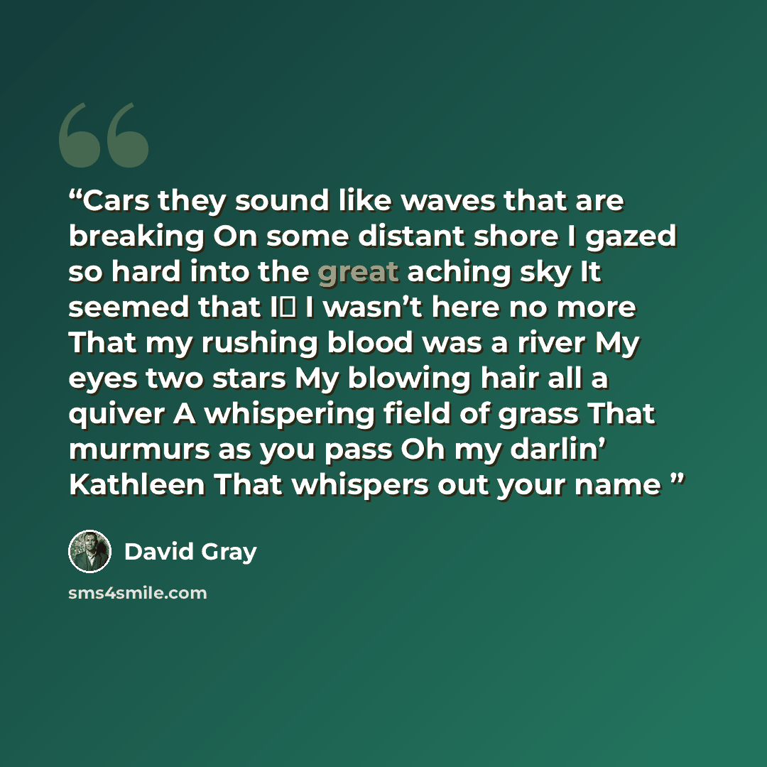 “Cars they sound like waves that are breaking On some distant shore I gazed so hard into the great aching sky It seemed that I， I wasn’t here no more That my rushing blood was a river My eyes two stars My blowing hair all a quiver A whispering field of grass That murmurs as you pass Oh my darlin’…” quote by David gray