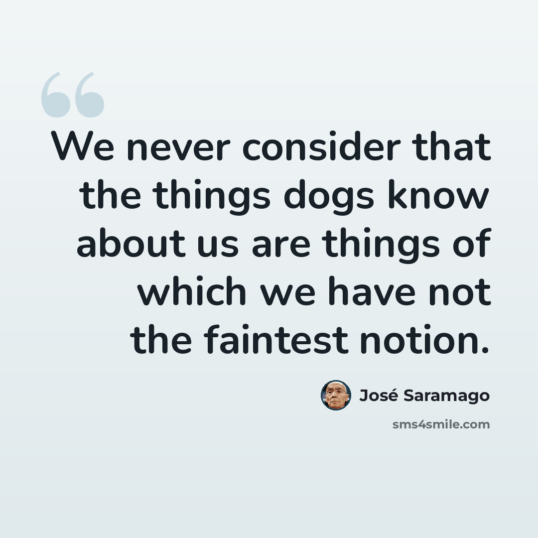 “We never consider that the things dogs know about us are things of which we have not the faintest notion.” quote by Jose Saramago