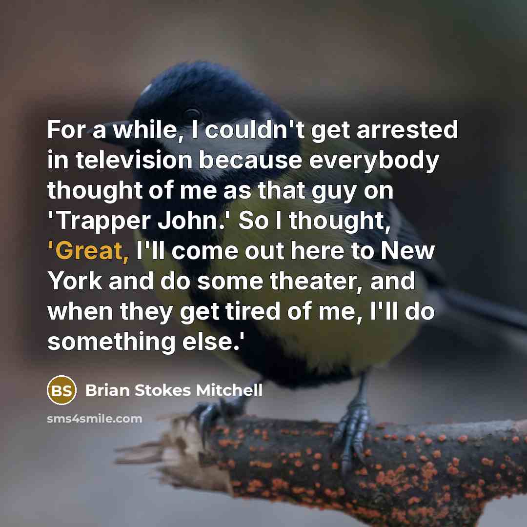 “For a while, I couldn't get arrested in television because everybody thought of me as that guy on 'Trapper John.' So I thought, 'Great, I'll come out here to New York and do some theater, and when they get tired of me, I'll do something else.'” quote by Brian Stokes Mitchell