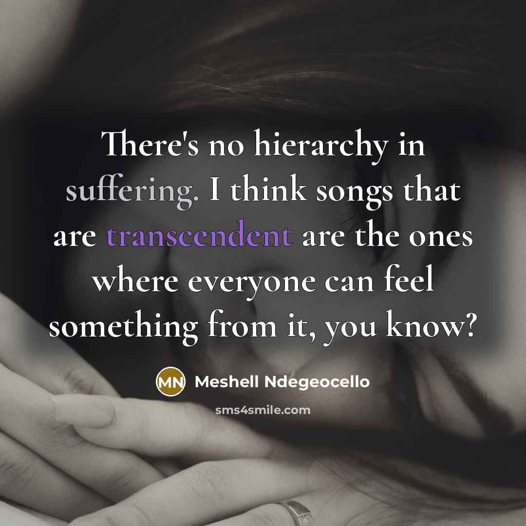 “There's no hierarchy in suffering. I think songs that are transcendent are the ones where everyone can feel something from it, you know?” quote by Meshell Ndegeocello