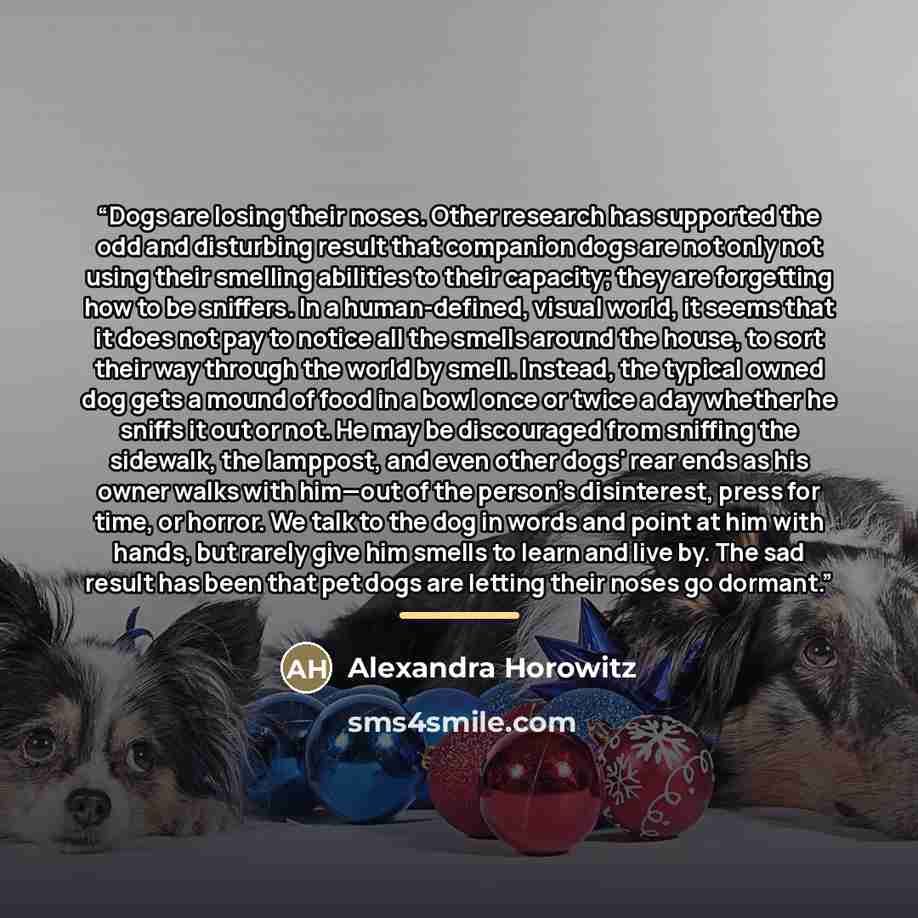 “Dogs are losing their noses. Other research has supported the odd and disturbing result that companion dogs are not only not using their smelling abilities to their capacity; they are forgetting how to be sniffers. In a human-defined, visual world, it seems that it does not pay to notice all the…” quote by Alexandra Horowitz