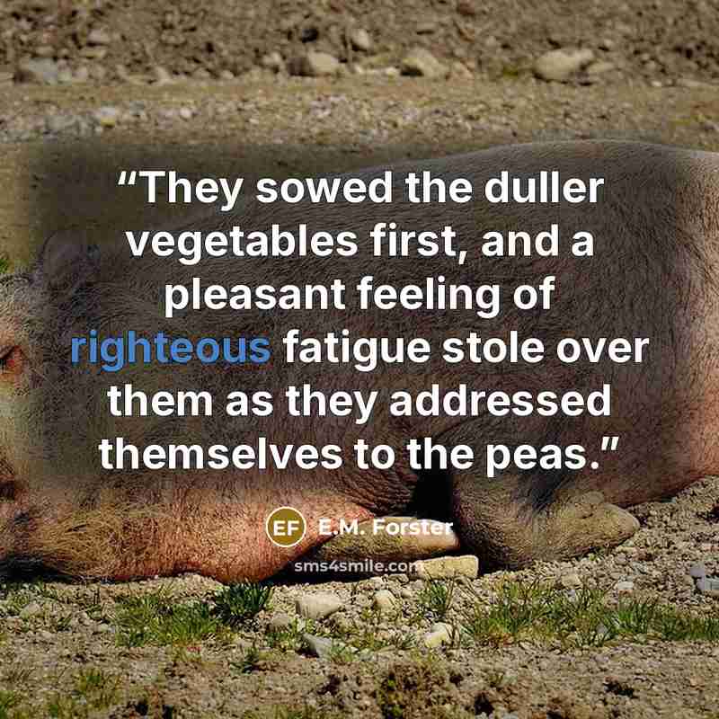 “They sowed the duller vegetables first, and a pleasant feeling of righteous fatigue stole over them as they addressed themselves to the peas.” quote by E.M. Forster
