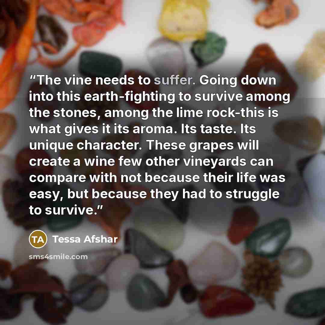 “The vine needs to suffer. Going down into this earth-fighting to survive among the stones, among the lime rock-this is what gives it its aroma. Its taste. Its unique character. These grapes will create a wine few other vineyards can compare with not because their life was easy, but because they…” quote by Tessa Afshar