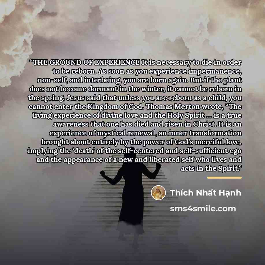 “THE GROUND OF EXPERIENCE It is necessary to die in order to be reborn. As soon as you experience impermanence, non-self, and interbeing, you are born again. But if the plant does not become dormant in the winter, it cannot be reborn in the spring. Jesus said that unless you are reborn as a child…” quote by Thích Nhất Hạnh