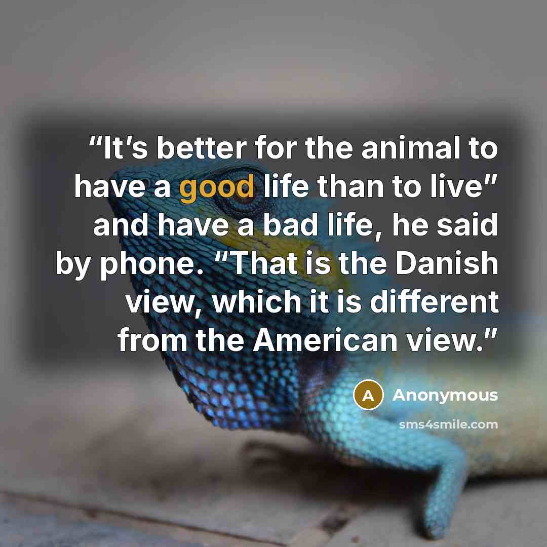 “It’s better for the animal to have a good life than to live” and have a bad life, he said by phone. “That is the Danish view, which it is different from the American view.” quote by Anonymous