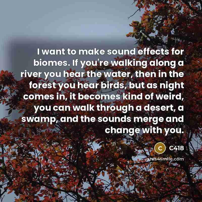 “I want to make sound effects for biomes. If you're walking along a river you hear the water, then in the forest you hear birds, but as night comes in, it becomes kind of weird, you can walk through a desert, a swamp, and the sounds merge and change with you.” quote by C418