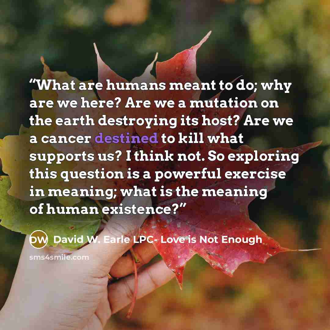 “What are humans meant to do; why are we here? Are we a mutation on the earth destroying its host? Are we a cancer destined to kill what supports us? I think not. So exploring this question is a powerful exercise in meaning; what is the meaning of human existence?” quote by David W. Earle LPC- Love is Not Enough