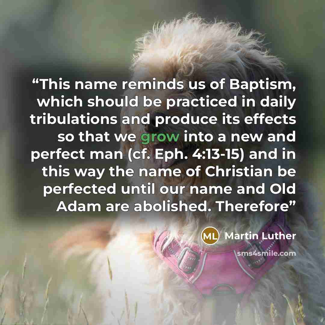 “This name reminds us of Baptism, which should be practiced in daily tribulations and produce its effects so that we grow into a new and perfect man (cf. Eph. 4:13-15) and in this way the name of Christian be perfected until our name and Old Adam are abolished. Therefore” quote by Martin Luther