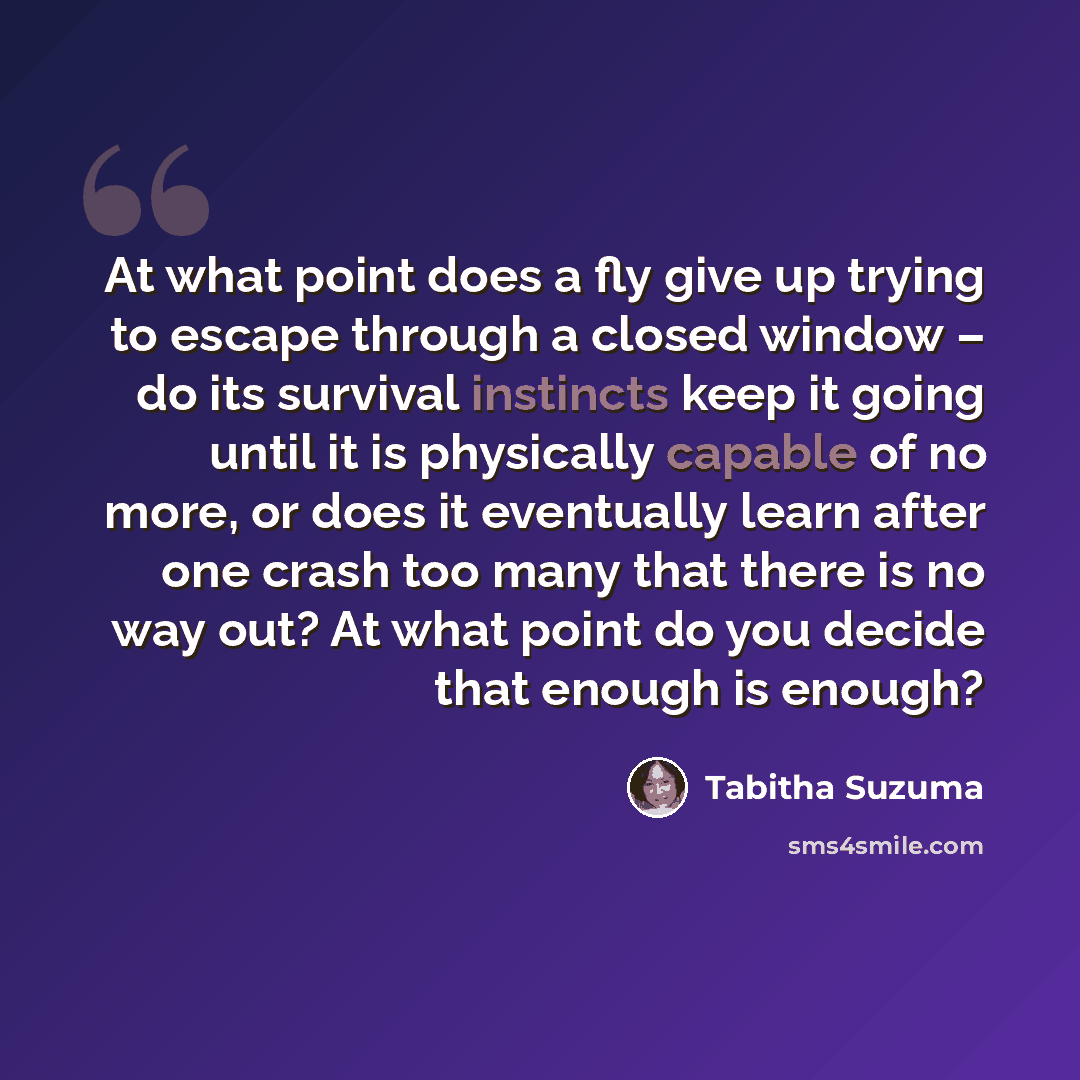 “At what point does a fly give up trying to escape through a closed window – do its survival instincts keep it going until it is physically capable of no more, or does it eventually learn after one crash too many that there is no way out? At what point do you decide that enough is enough?” quote by Tabitha Suzuma