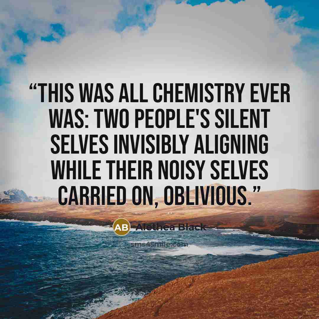 “This was all chemistry ever was: two people's silent selves invisibly aligning while their noisy selves carried on, oblivious.” quote by Alethea Black