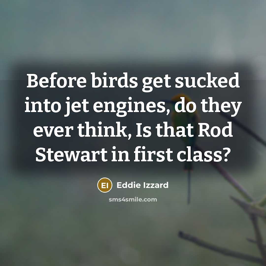 “Before birds get sucked into jet engines, do they ever think, Is that Rod Stewart in first class?” quote by Eddie Izzard