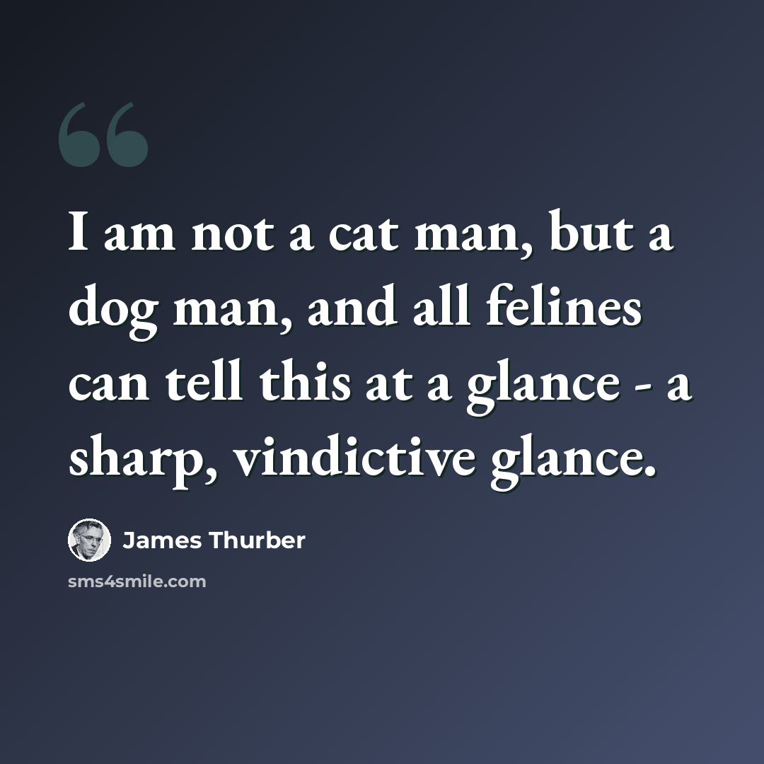 “I am not a cat man, but a dog man, and all felines can tell this at a glance - a sharp, vindictive glance.” quote by James Thurber