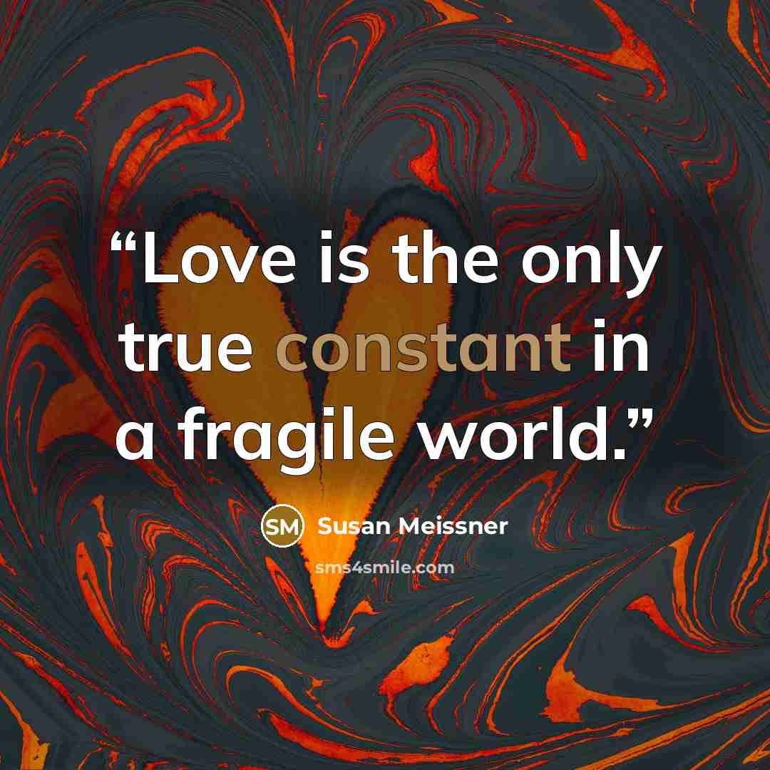 “Love is the only true constant in a fragile world.” quote by Susan Meissner