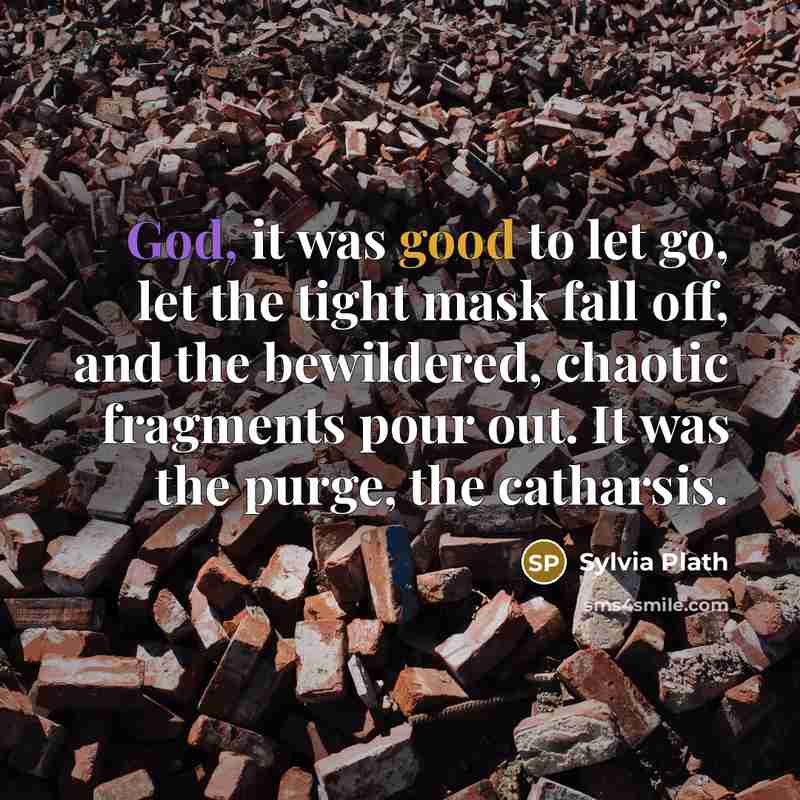 “God, it was good to let go, let the tight mask fall off, and the bewildered, chaotic fragments pour out. It was the purge, the catharsis.” quote by Sylvia Plath