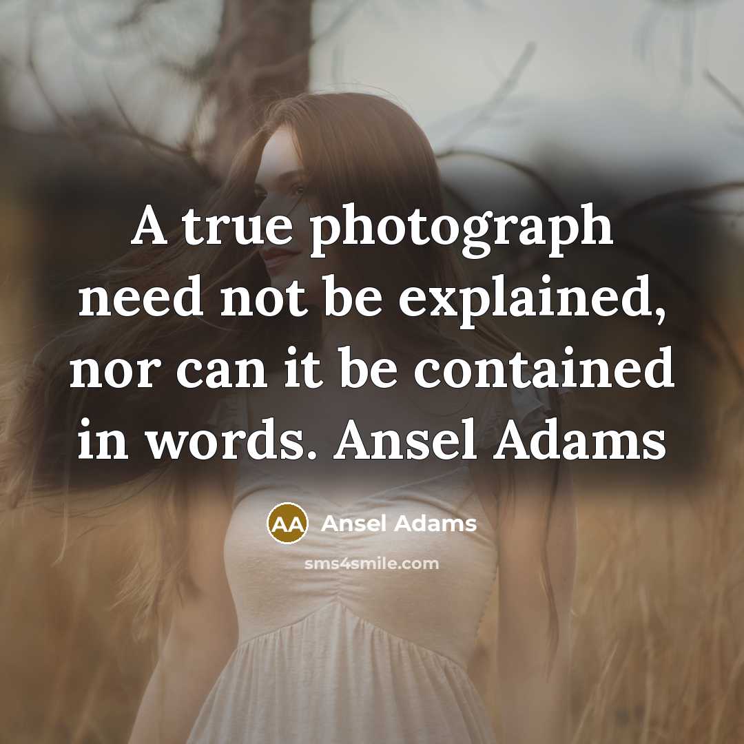 “A true photograph need not be explained, nor can it be contained in words. Ansel Adams” quote by Ansel Adams