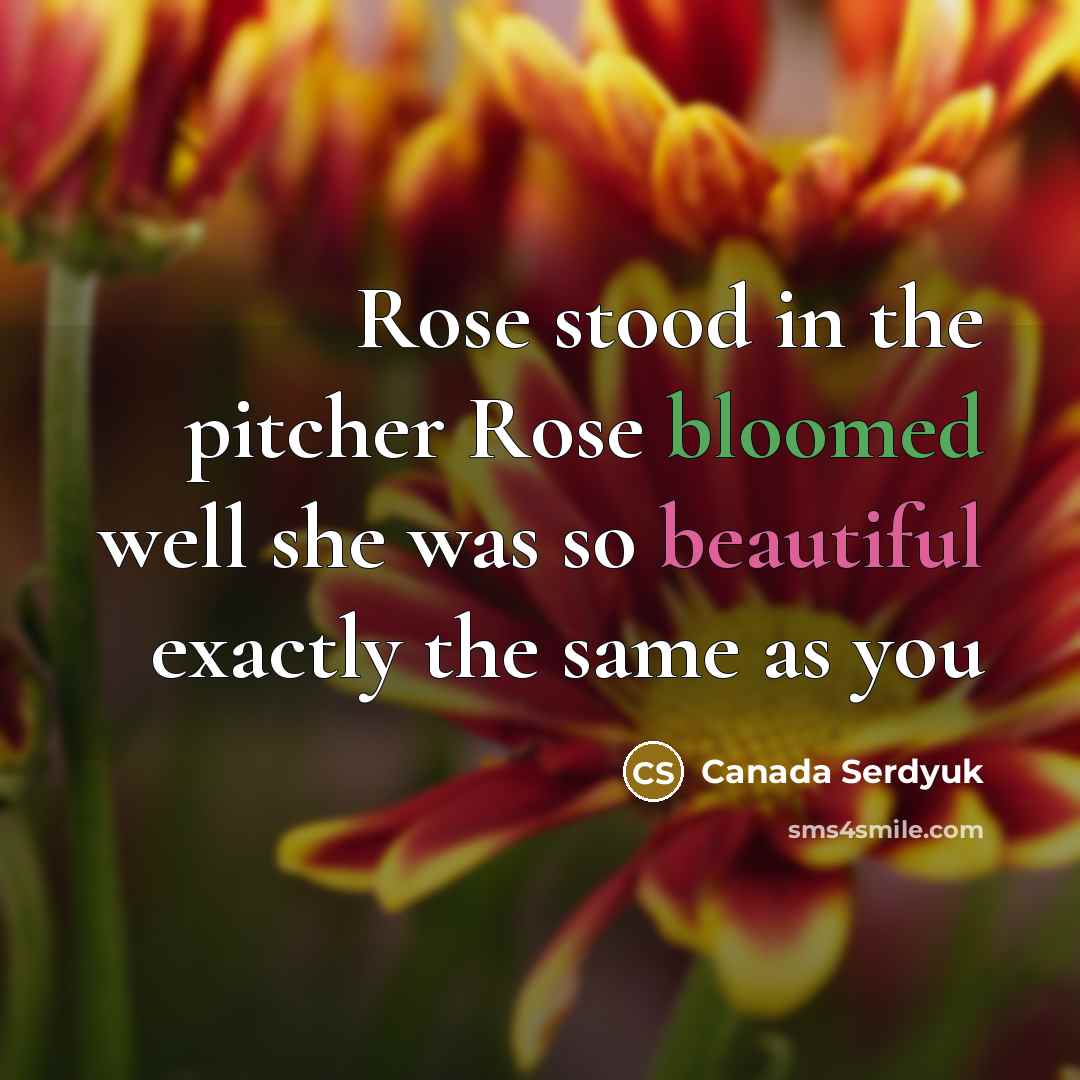 “Rose stood in the pitcher Rose bloomed well she was so beautiful exactly the same as you” quote by Canada Serdyuk