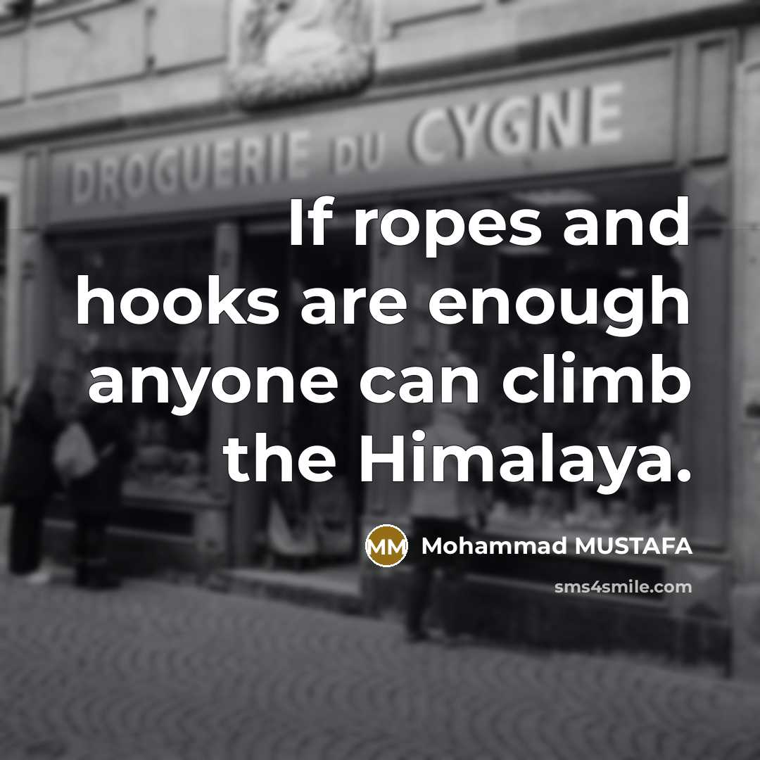 “If ropes and hooks are enough anyone can climb the Himalaya.” quote by Mohammad MUSTAFA