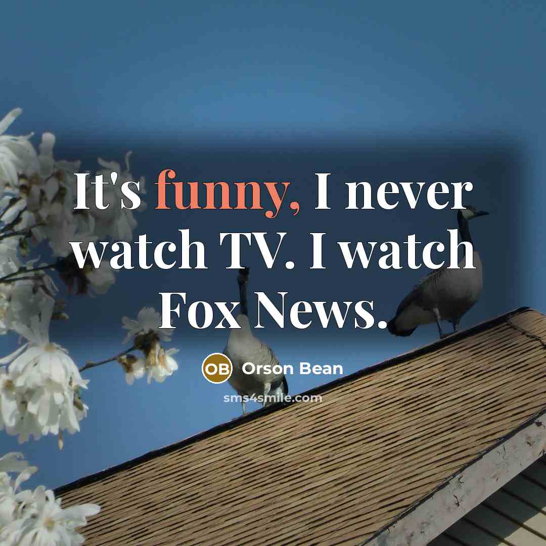 “It's funny, I never watch TV. I watch Fox News.” quote by Orson Bean
