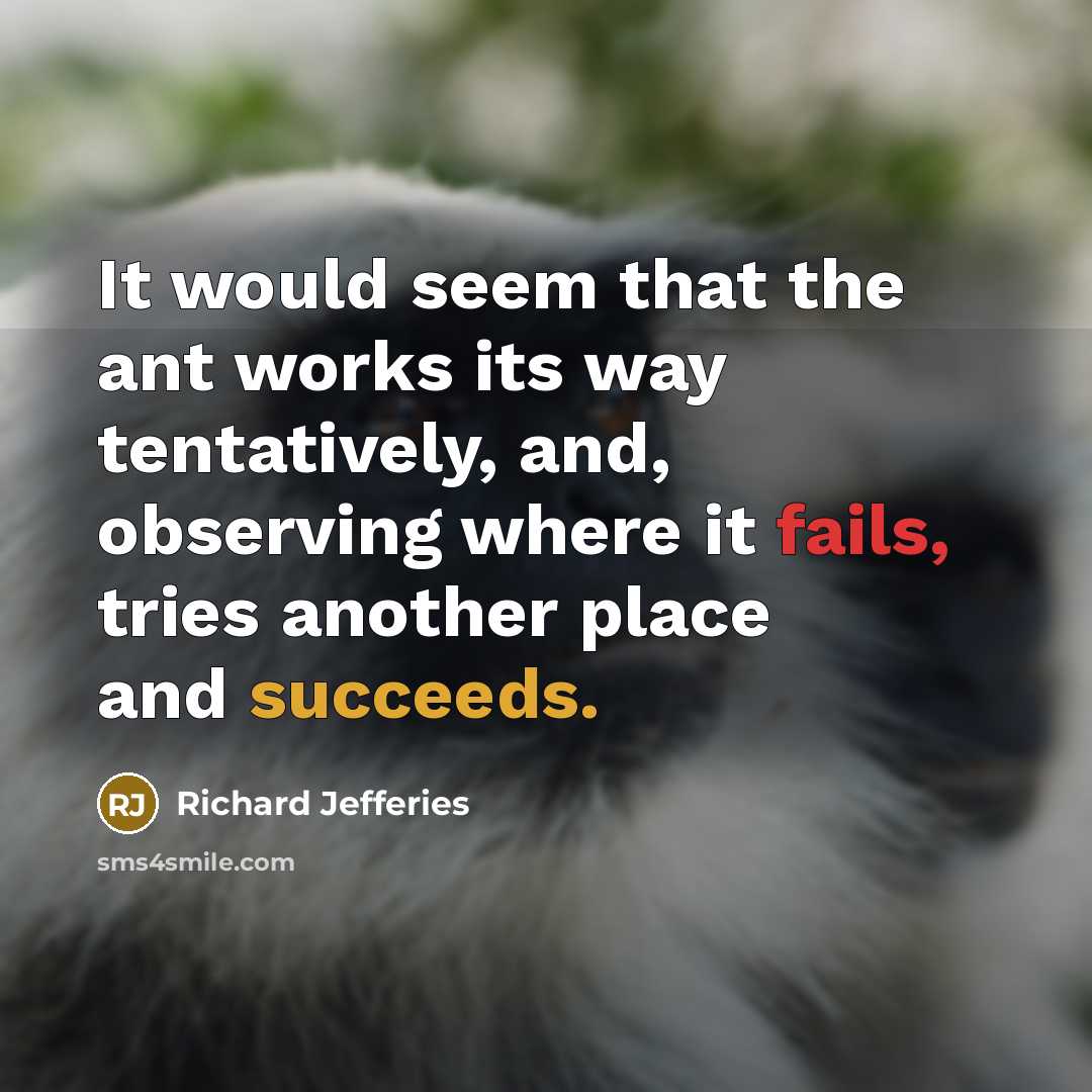 “It would seem that the ant works its way tentatively, and, observing where it fails, tries another place and succeeds.” quote by Richard Jefferies