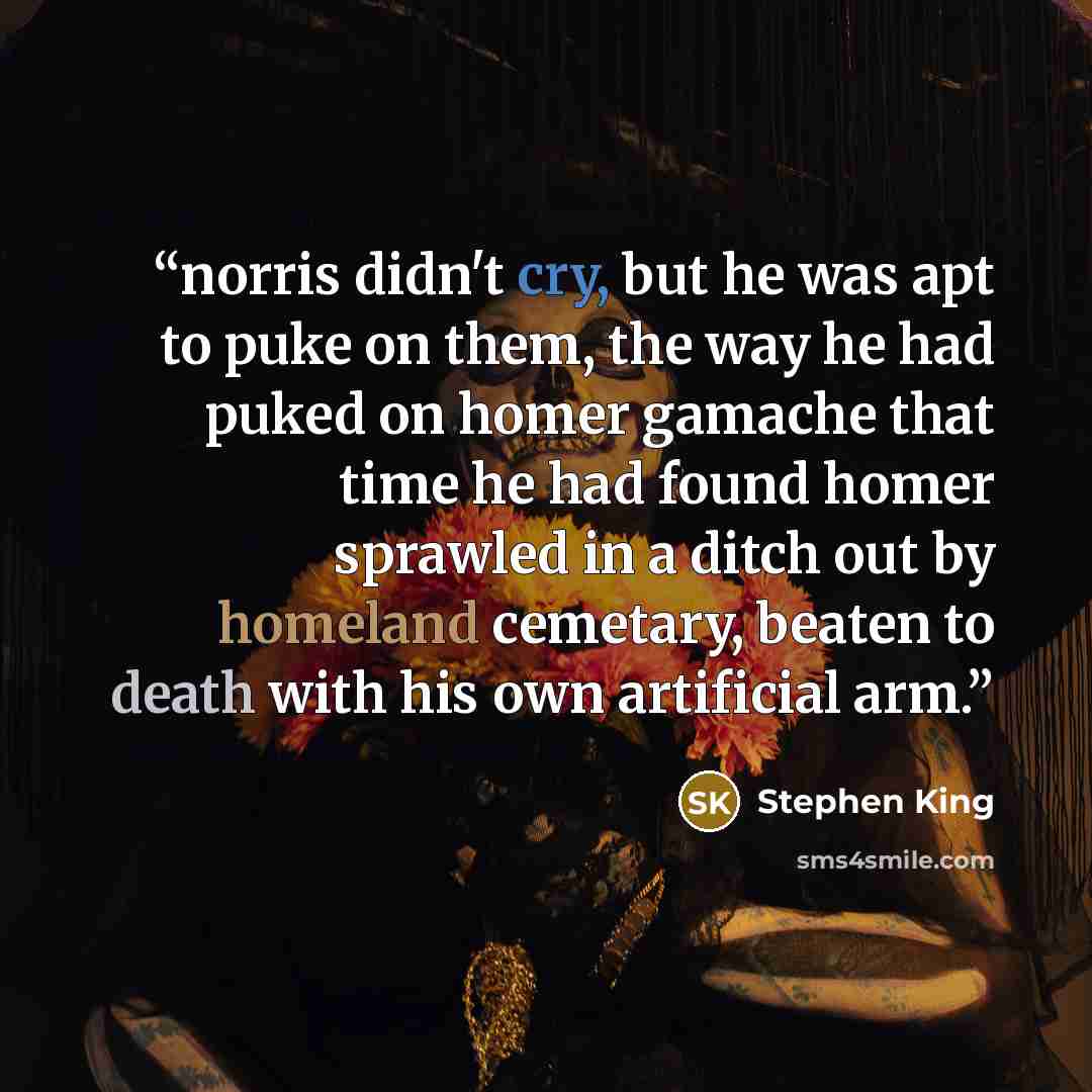 “norris didn't cry, but he was apt to puke on them, the way he had puked on homer gamache that time he had found homer sprawled in a ditch out by homeland cemetary, beaten to death with his own artificial arm.” quote by Stephen King
