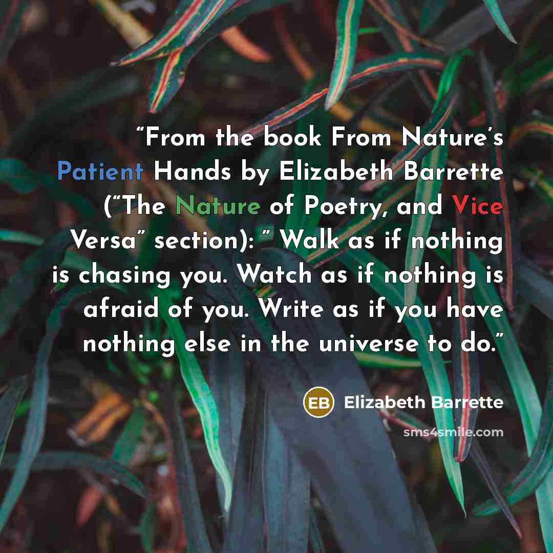 “From the book From Nature’s Patient Hands by Elizabeth Barrette (“The Nature of Poetry, and Vice Versa” section): ” Walk as if nothing is chasing you. Watch as if nothing is afraid of you. Write as if you have nothing else in the universe to do.” quote by Elizabeth Barrette