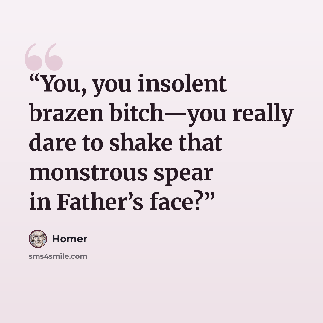 “You, you insolent brazen bitch—you really dare to shake that monstrous spear in Father’s face?” quote by Homer