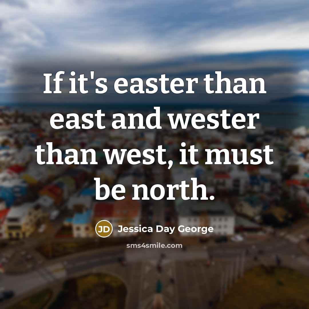 “If it's easter than east and wester than west, it must be north.” quote by Jessica Day George