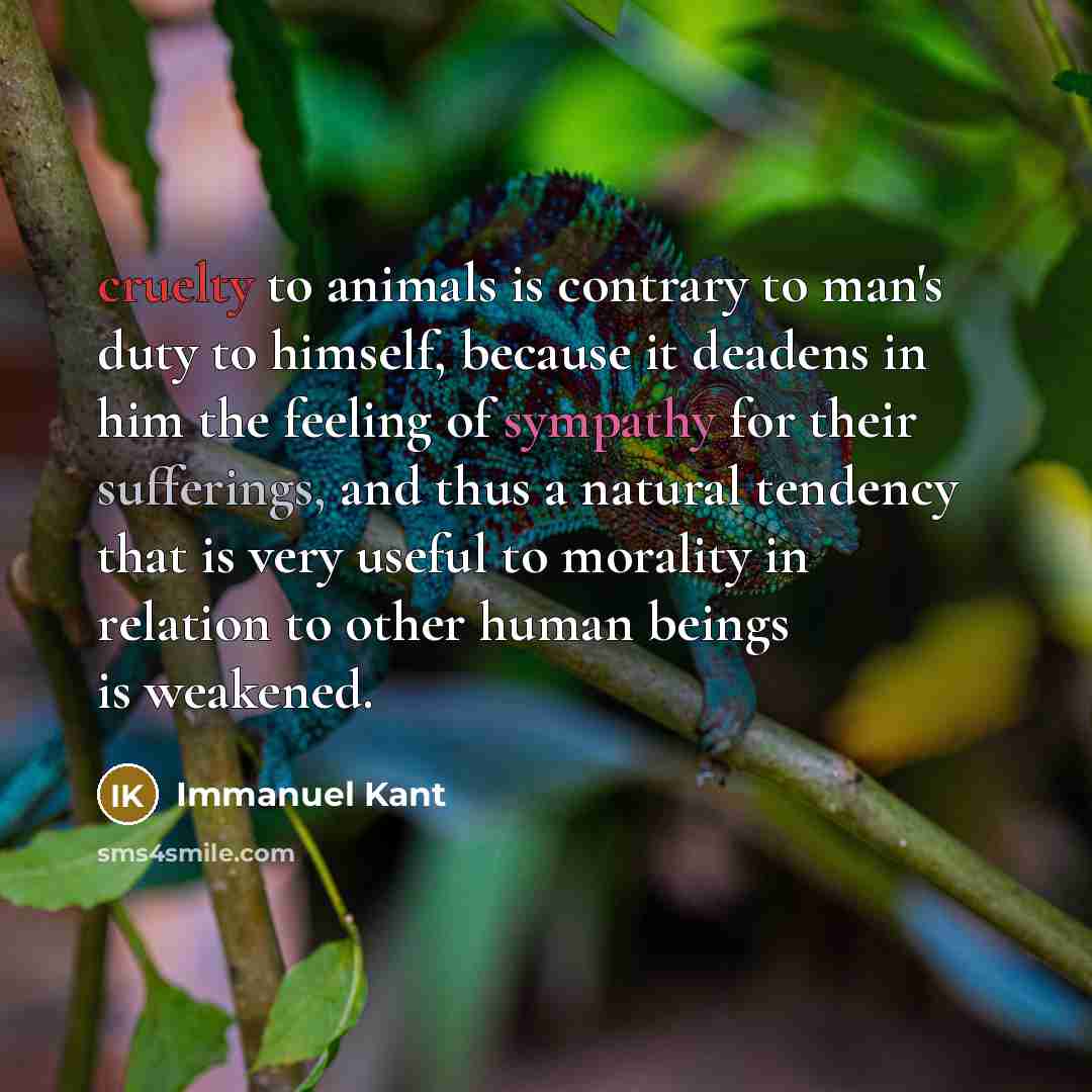 “cruelty to animals is contrary to man's duty to himself, because it deadens in him the feeling of sympathy for their sufferings, and thus a natural tendency that is very useful to morality in relation to other human beings is weakened.” quote by Immanuel Kant