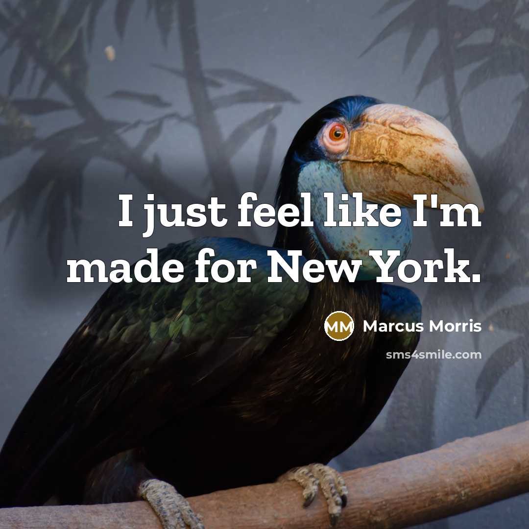 “I just feel like I'm made for New York.” quote by Marcus Morris