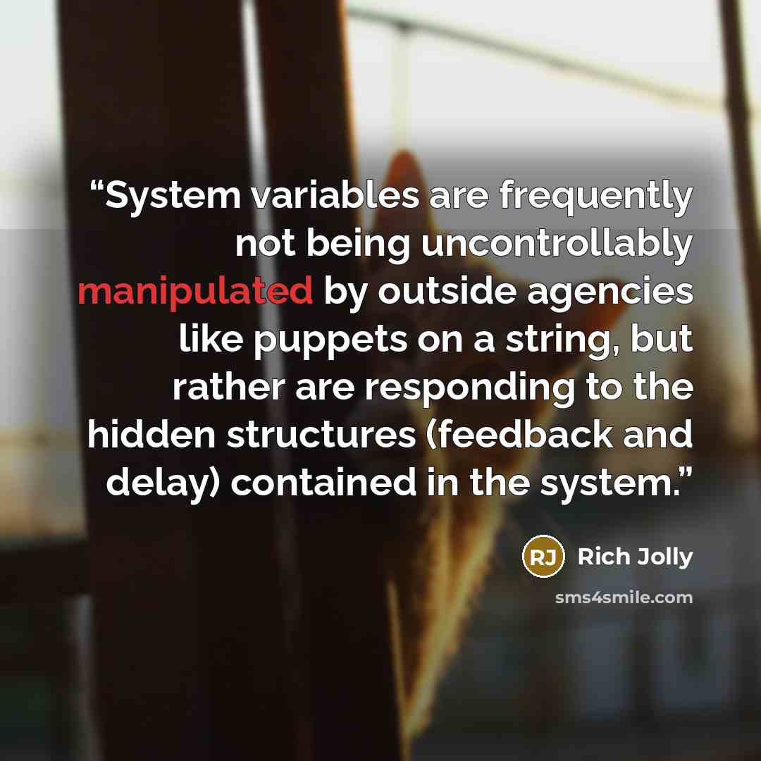 “System variables are frequently not being uncontrollably manipulated by outside agencies like puppets on a string, but rather are responding to the hidden structures (feedback and delay) contained in the system.” quote by Rich Jolly