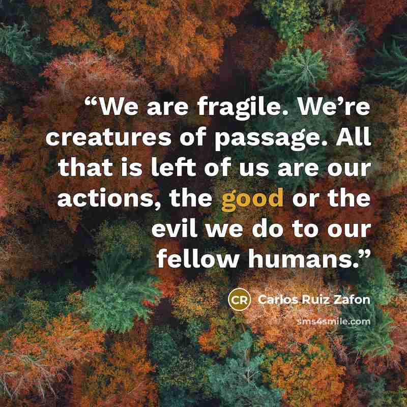 “We are fragile. We’re creatures of passage. All that is left of us are our actions, the good or the evil we do to our fellow humans.” quote by Carlos Ruiz Zafón